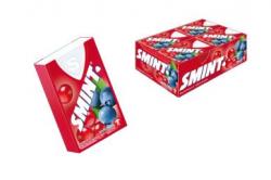66089 SMINT PLASTICO FRUTAS DEL BOSQUE 12 unidad SG
