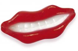 70635  250 u LABIOS BRILLO FRESA FINI SG PVA 5