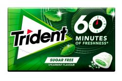 72702 TRIDENT *  60 MINUTOS * HIERBABUENA 16uni  20g